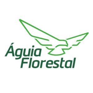 xr:d:DAFJBW4ja4g:4,j:32664569827,t:22081113